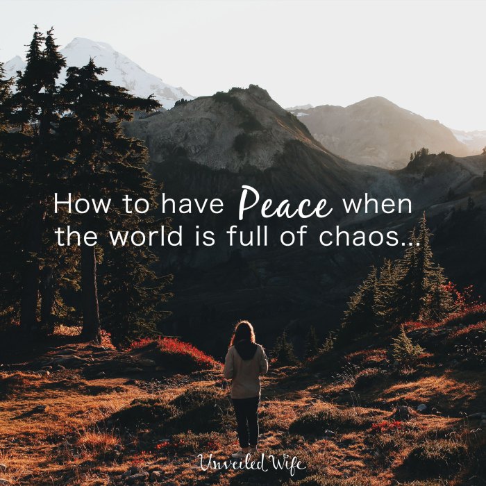 How to Meditate for Finding Peace in the Chaos of Life